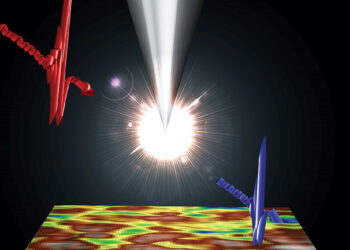 Visualization of Terahertz Microscope Tip