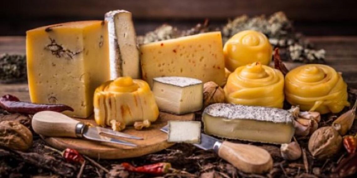 La deliciosa tradición de los quesos andaluces: Un recorrido por sus sabores
