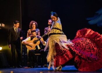 flamenco puro