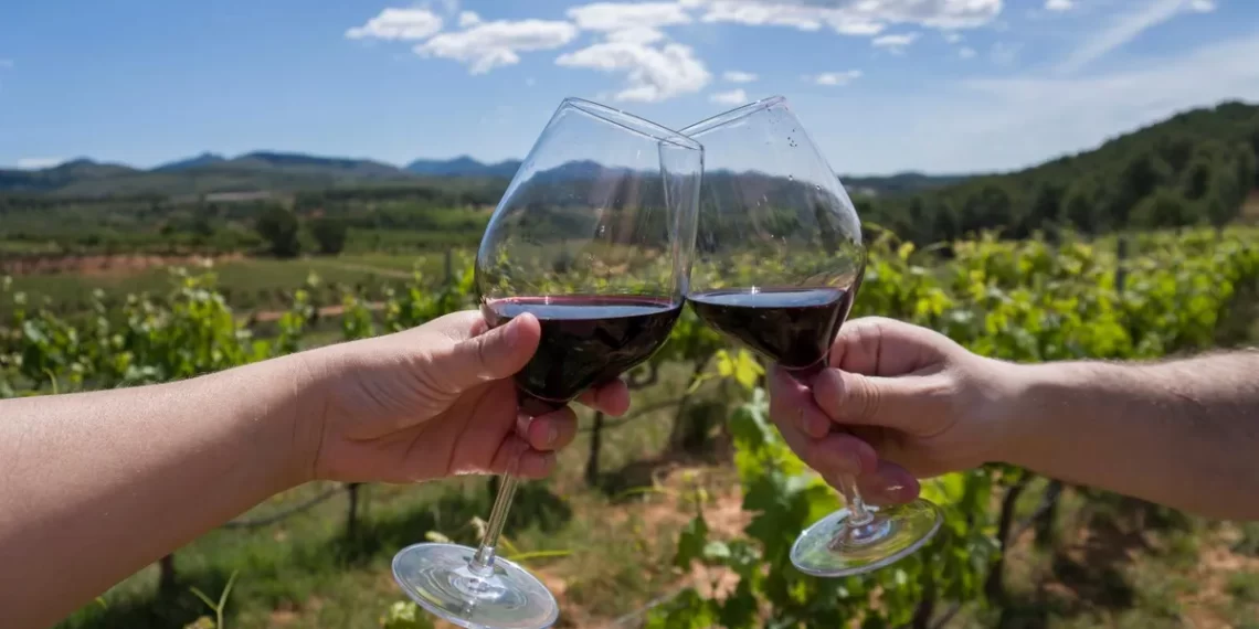 Descubre la Ruta del Vino: Un viaje de sabores y paisajes inolvidables