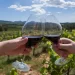 Descubre la Ruta del Vino: Un viaje de sabores y paisajes inolvidables