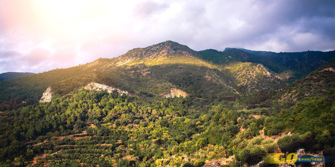 Parque Natural Sierra de las Nieves