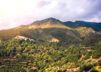 Parque Natural Sierra de las Nieves