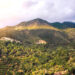 Parque Natural Sierra de las Nieves