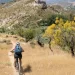 Descubre las Mejores Rutas en Bici por Andalucía: Naturaleza y Aventura