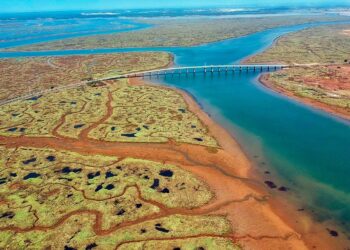 Descubre la belleza de las Marismas de Huelva: Un paraíso natural por descubrir