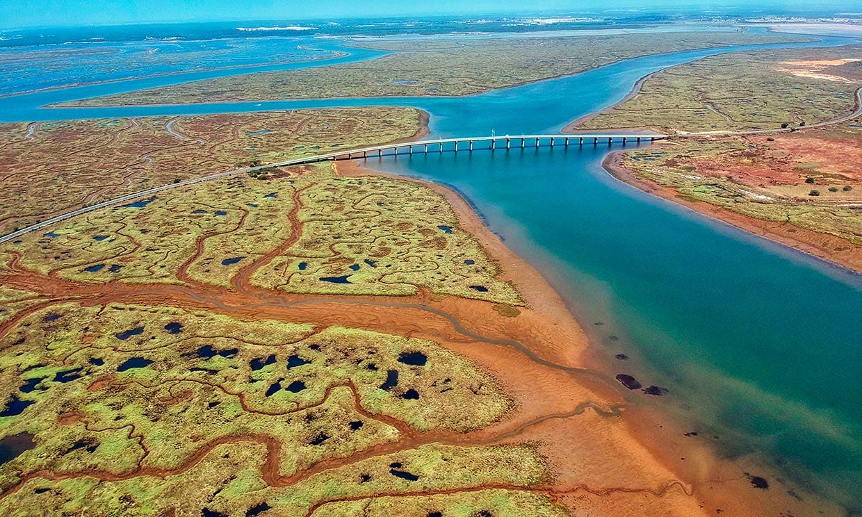 descubre-la-belleza-de-las-marismas-de-huelva-un-para-so-natural-por