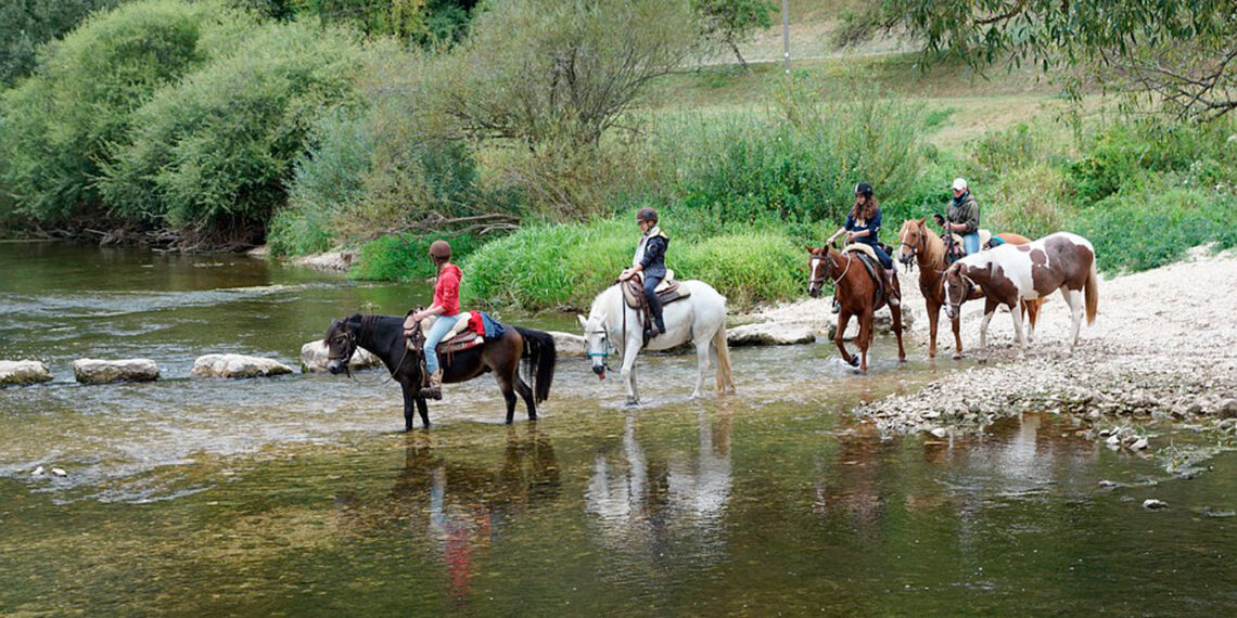 Descubre las mejores rutas a caballo para disfrutar de la naturaleza