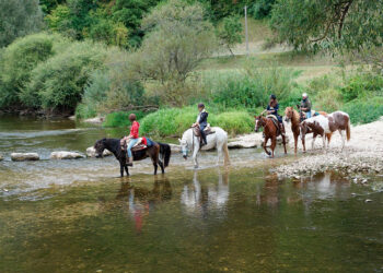 Descubre las mejores rutas a caballo para disfrutar de la naturaleza
