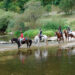 Descubre las mejores rutas a caballo para disfrutar de la naturaleza