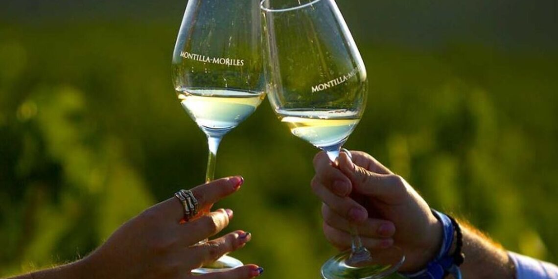 Vinos Montilla-Moriles