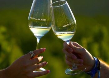 Vinos Montilla-Moriles