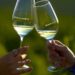 Vinos Montilla-Moriles