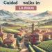 Descubre la Belleza de la Región con Paseos Guiados Pasea La Rioja: Tu Guía Definitiva