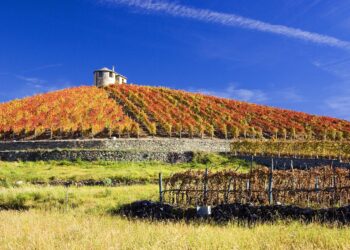 Los 10 Mejores Lugares Donde Comer en Sevilla Valle: Guía Gastronómica 2021