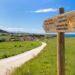 camino de santiago tradiciones