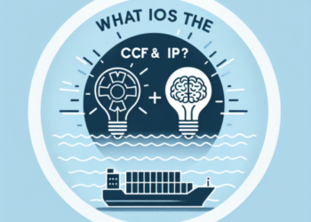 ¿Qué es el CFT y el IP?