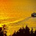 Ferry Denia Ibiza: Guía Completa para un Viaje Perfecto