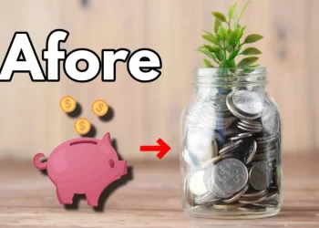 ¿Cómo personalizar tu plan de ahorro voluntario?