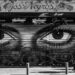 ayudas alquiler 2019 madrid