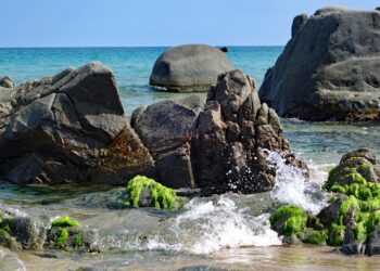 portero del algeciras